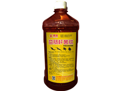 益肠杆菌肽