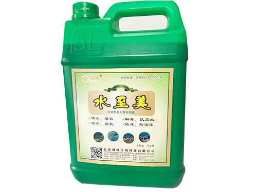 水至美