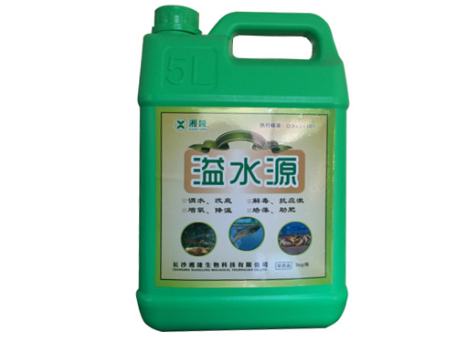 溢水源