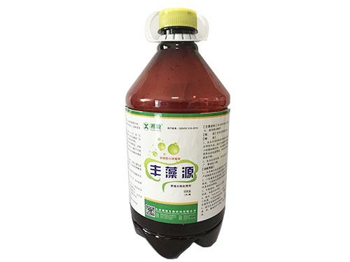 丰藻源