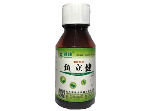 鱼立健