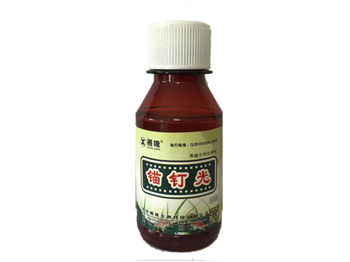 锚钉光