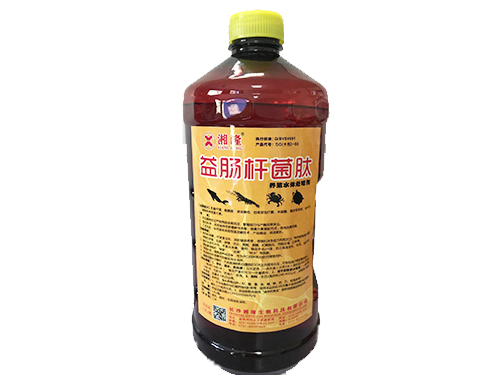 益肠杆菌肽