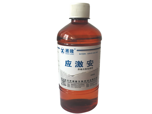 应激安